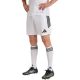 Men's adidas Tiro 26 League shorts white KA8775
