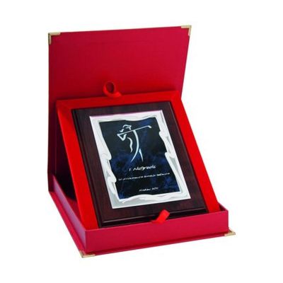 2. Plastic diploma with engraved metal plate + case