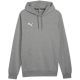 3. Puma Team Goal Casuals Hoody M 658618 33