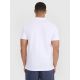 2. Men's polo shirt 4F 4FWSS25TPTSM704-10S