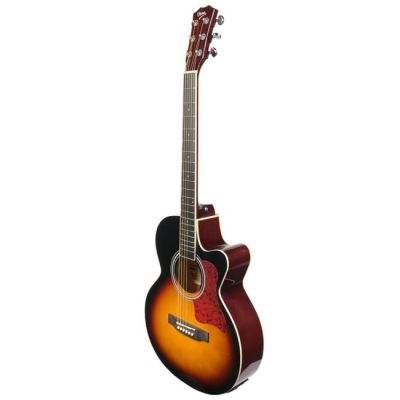 2. V-TONE EAG SET SB electro-acoustic guitar + amplifier