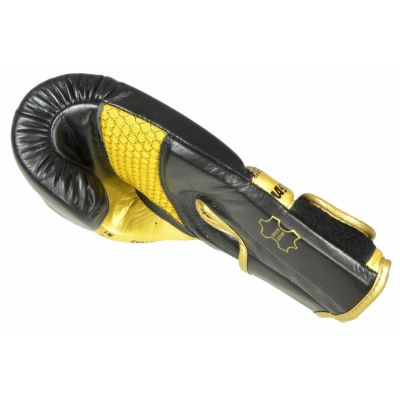 10. Masters Rbt-Professional Boxing Gloves 01101-10