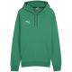 3. Puma Team Goal Casuals Hoody M 658618 05