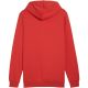 2. Puma Ess Logo Lab Hoodie FL M 684669 15