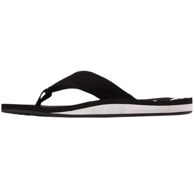 14. Kappa Aryse M 243111 1110 flip-flops