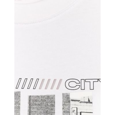 8. Men's regular printed T-shirt 4F 4FRAW25TTSHM3364-10S