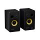 2. GENESIS ARSEN 502BT 2-Way Black Wired and Wireless 60W