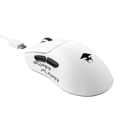 7. Havit StarBlaze-1 Wireless Gaming Mouse (White and Black)