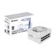 Gigabyte AORUS ELITE P1000W 80+ Platinum Modular PCIe 5.0 ICE Power Supply (GP-AE1000PM PG5 ICE)