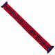 3. Polonia Bytom scarf SREBBSPSZAL