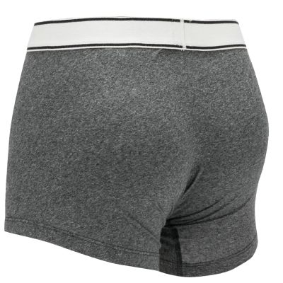 4. Levi's Boxer 2 Pairs Briefs underwear 37149-0398