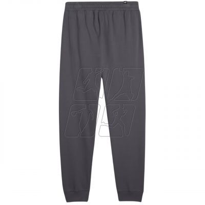 2. Puma Better Essentials Pants M 676816 69