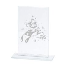 Engraved glass trophy