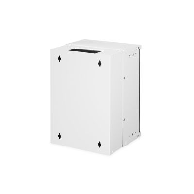 2. Digitus SOHO Pro Wall-Mounted Case - 254 mm (10") - 315x300 mm (W x D)