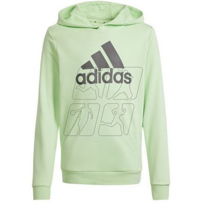 Adidas Big Logo Hoodie Jr IS2591 sweatshirt