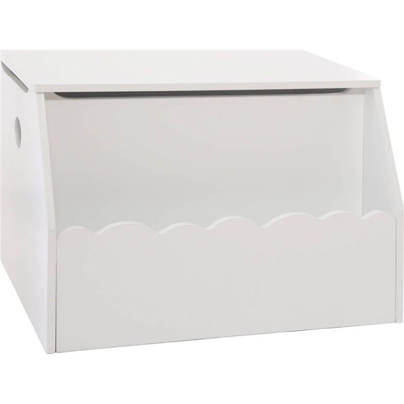CLOSED TRUNK WHITE 58X38X39