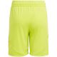 7. adidas Tiro 24 Jr IT2421 Shorts