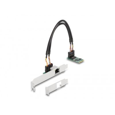 DeLOCK M.2 Converter with Key B+M 1 x RJ45 2.5 Gigabit LAN