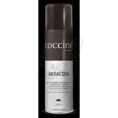 2. Coccine leather impregnation spray DA0265