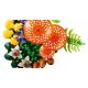 5. LEGO Botanical Collection 11505 - Wild Mushrooms