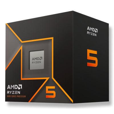 2. AMD Ryzen 5 9600 BOX processor