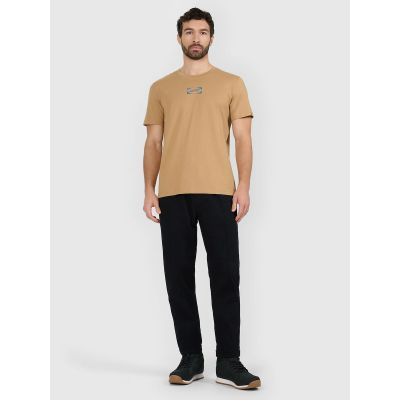 4. Men's regular printed T-shirt 4F 4FRAW25TTSHM3377-83S