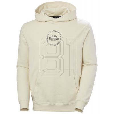 7. Helly Hansen Core Graphic Sweat Hoodie M 53924 034