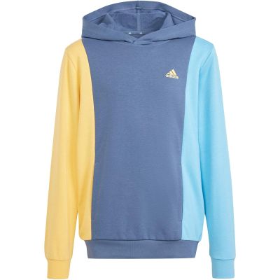 6. Adidas Cb Ft Hd Jr sweatshirt IS2689