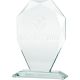 2. 3D engraved glass trophy with case