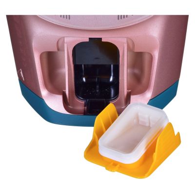 6. PHILIPS DST 8030/70 iron
