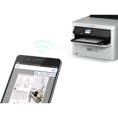 14. Epson T01D XXL DURABrite Pro C13T01D100 T01D100 Ink for WF Pro WF-C529R, C579R | 50k | Black