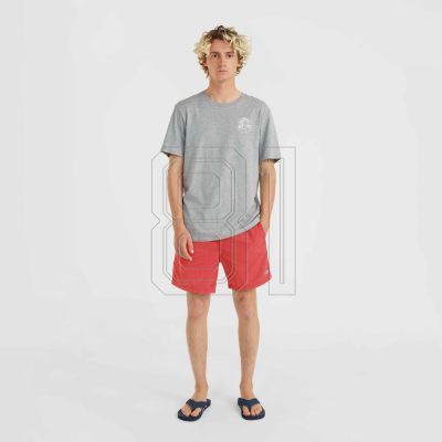 4. O'Neill Vert 16'' Swim Shorts M 92800615036