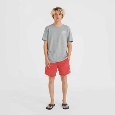 4. O'Neill Vert 16'' Swim Shorts M 92800615036