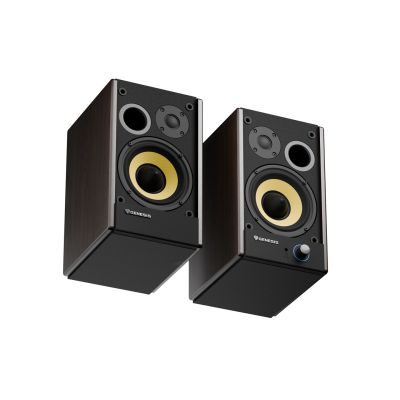 4. GENESIS ARSEN 502BT 2-Way Brown Wired and Wireless 60 W