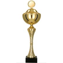 Metal cup with a lid