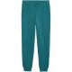 2. Puma ESS 2 Color No. 1 Logo Kids Pants Green 693892 41