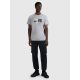 5. Men's regular printed T-shirt 4F 4FRAW25TTSHM3364-27M