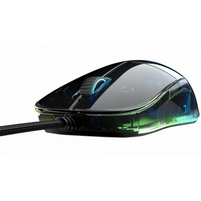 3. Endgame Gear XM1 RGB Gaming Mouse Right Side USB Type-A Optical 16000 DPI