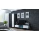 10. VIGO full display cabinet '180' 180/40/30 gray/white