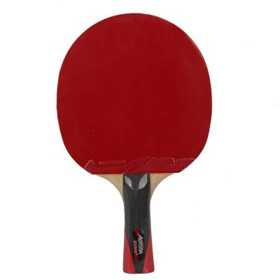 3. Aurora PRO 4* SG 4002 table tennis racket