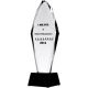 5. Engraved glass trophy + paint filling