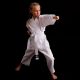 10. Karate kimono for children + free belt - DBX BUSHIDO ARK-3102 120 cm