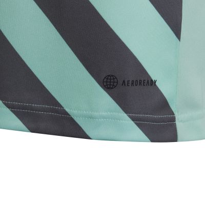 15. adidas Entrada 22 Graphic Jersey Jr HF0127