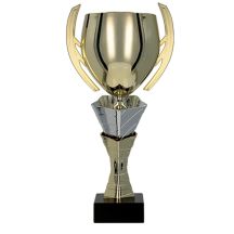 Gold and silver metal cup