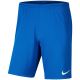 11. Nike Dry Park III NB M BV6855 463 Shorts