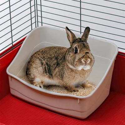 3. L 305 – Plastic Toilet for a Rabbit Cage
