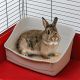 3. L 305 – Plastic Toilet for a Rabbit Cage
