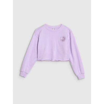 5. Girls' sweatshirt without a hood, 4F 4FJWSS25TSWSF1504-52S