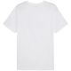 2. Puma Ess No.1 Logo Tee M 682532 02