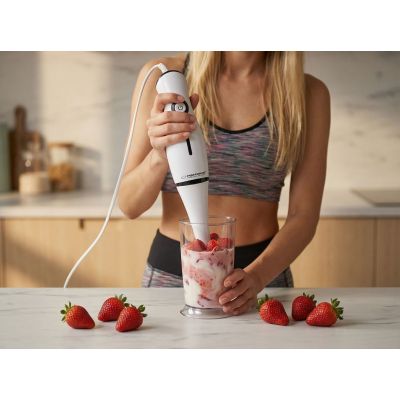 11. Esperanza Frappe Hand Blender EKM001K (250W; black)